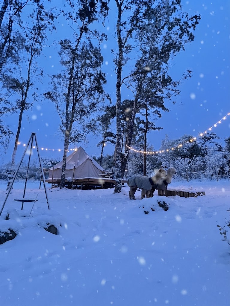 Snötäckt glampingtält i vinterskog i Bergslagen under snöfall